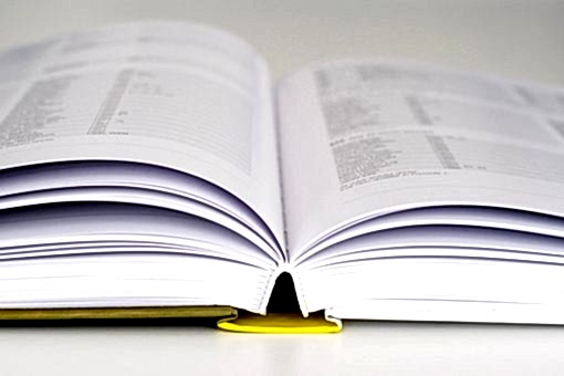 Обучение по Скайпу с носителем