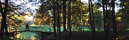 Желто-голубой автобус